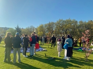 hanami3
